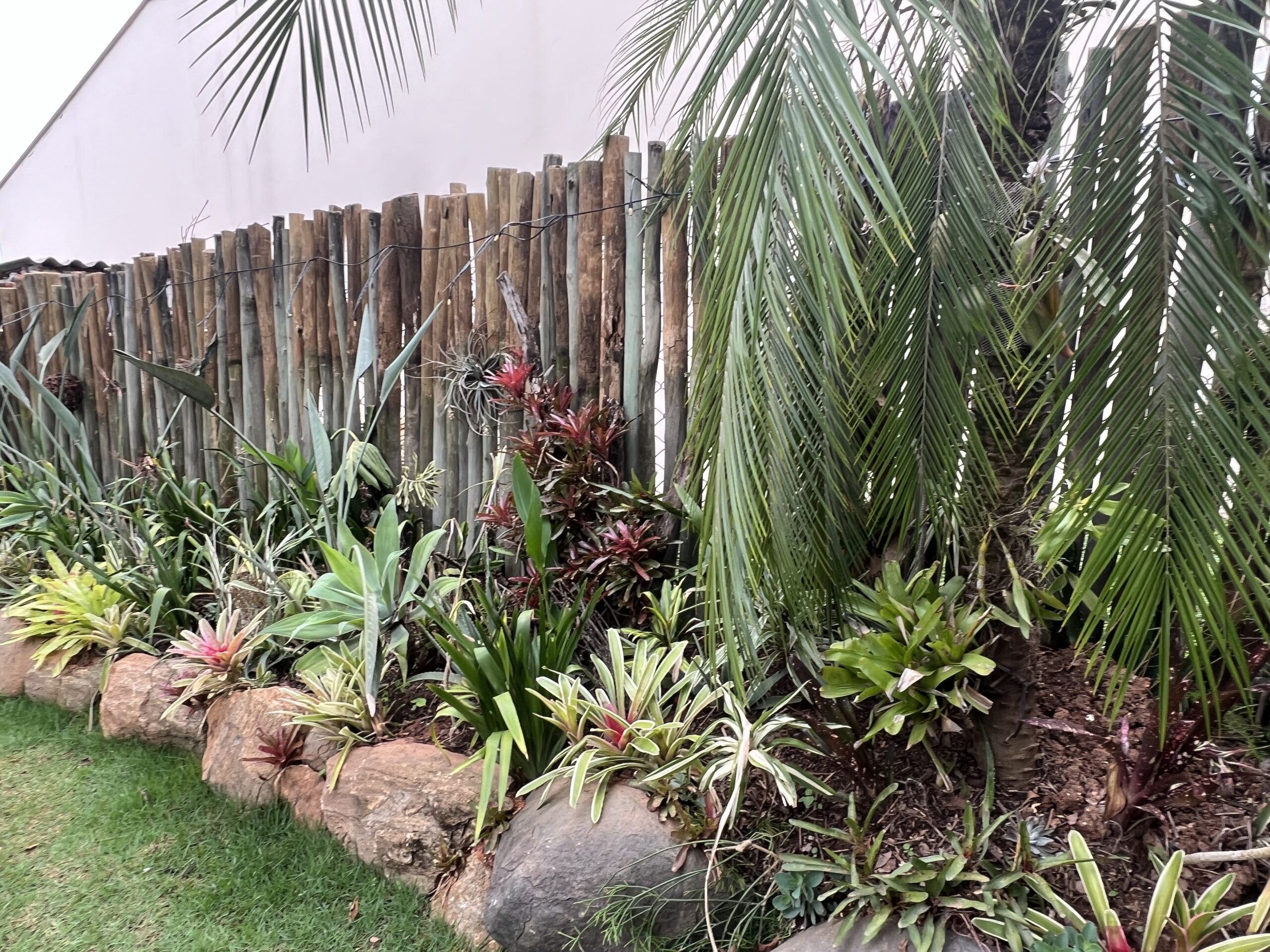 garden - rustic posts large rockery with bromelias and plams