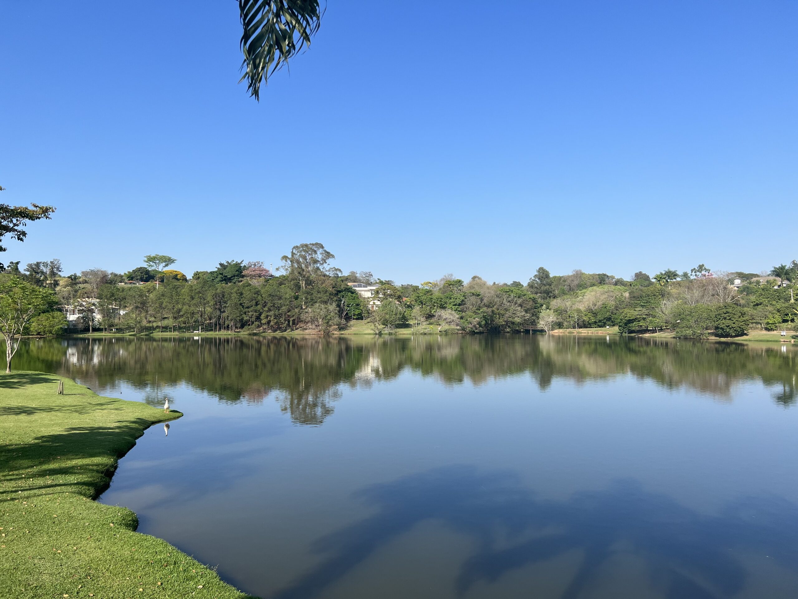 This is another large lake reflecting the surrounding trees in Itaici , this is the nearest to our chácara.